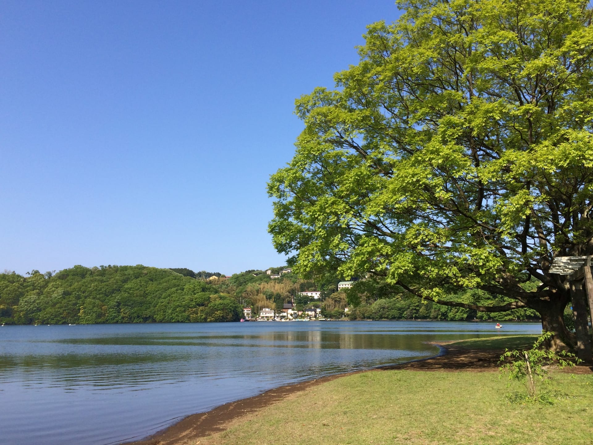 一碧湖